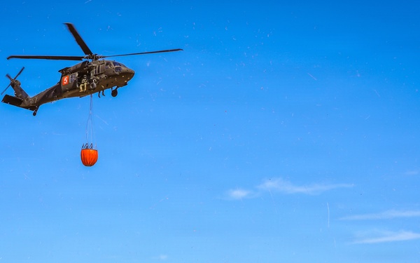 34th CAB Conducts 2026 Operation Burn Out with MNDNR at Camp Ripley