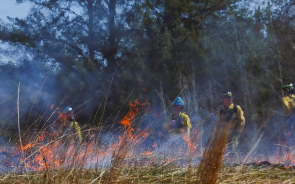 34th CAB Conducts 2026 Operation Burn Out with MNDNR at Camp Ripley