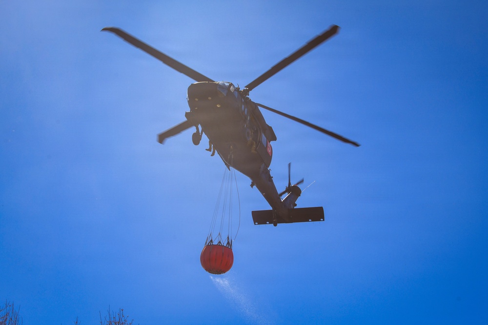 34th CAB Conducts 2026 Operation Burn Out with MNDNR at Camp Ripley