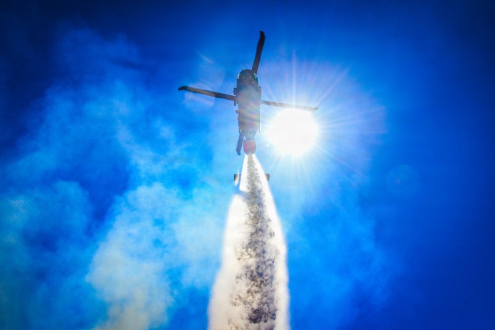 34th CAB Conducts 2026 Operation Burn Out with MNDNR at Camp Ripley