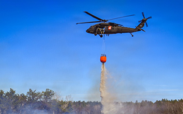 34th CAB Conducts 2026 Operation Burn Out with MNDNR at Camp Ripley