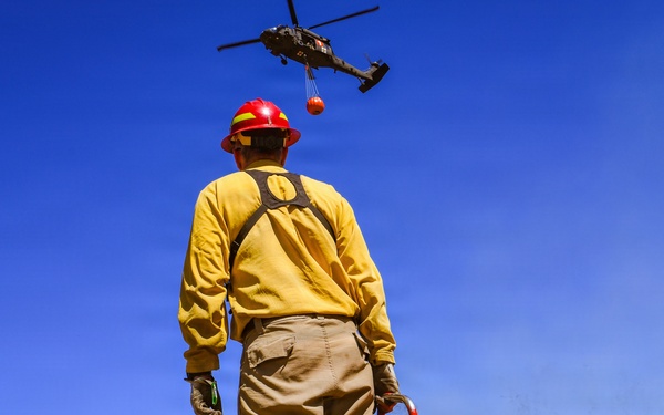 34th CAB Conducts 2026 Operation Burn Out with MNDNR at Camp Ripley