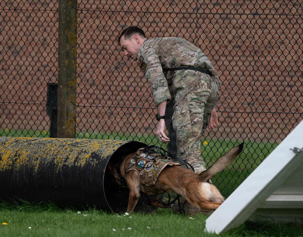 48 SFS military working dog routine training