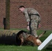 48 SFS military working dog routine training