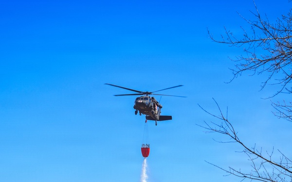 34th CAB Conducts 2026 Operation Burn Out with MNDNR at Camp Ripley