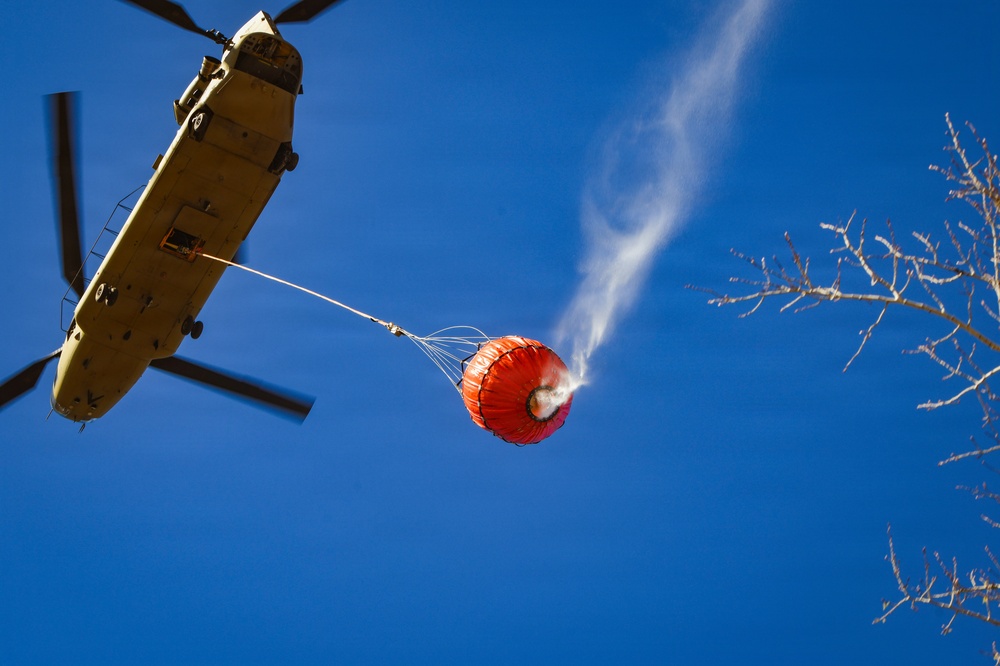 34th CAB Conducts 2026 Operation Burn Out with MNDNR at Camp Ripley