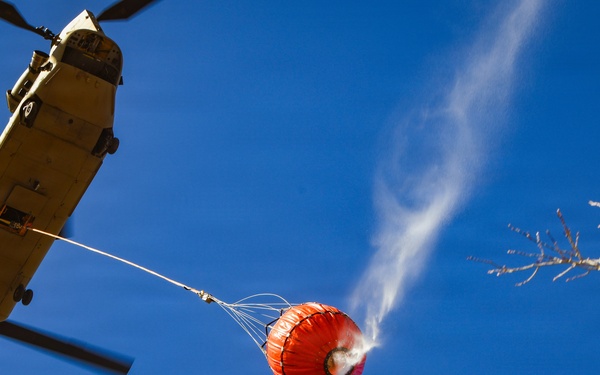 34th CAB Conducts 2026 Operation Burn Out with MNDNR at Camp Ripley