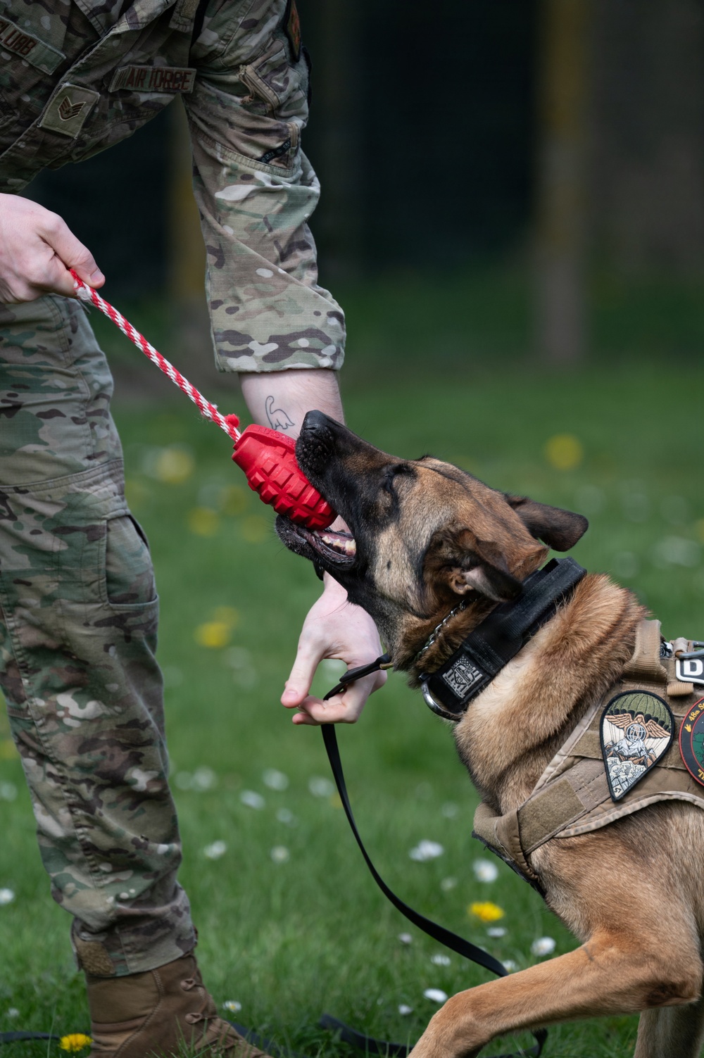 48 SFS military working dog routine training