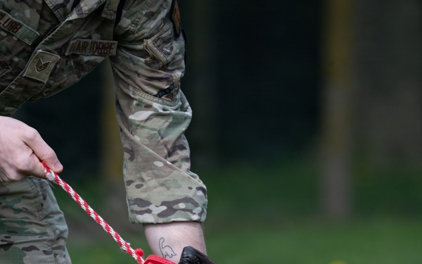 48 SFS military working dog routine training