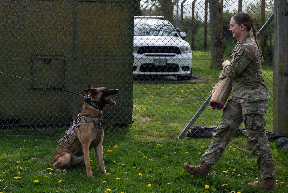 48 SFS military working dog routine training
