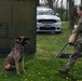 48 SFS military working dog routine training