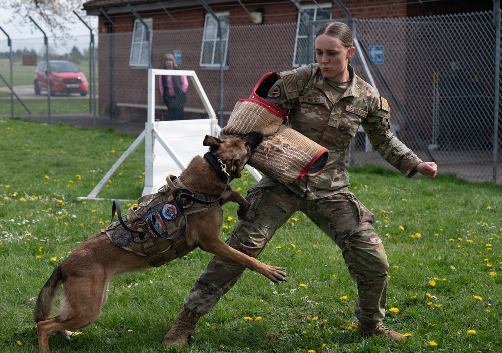 48 SFS military working dog routine training