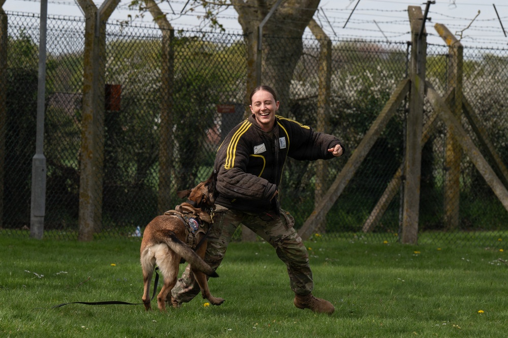 48 SFS military working dog routine training