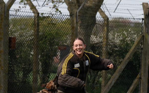 48 SFS military working dog routine training