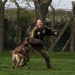 48 SFS military working dog routine training