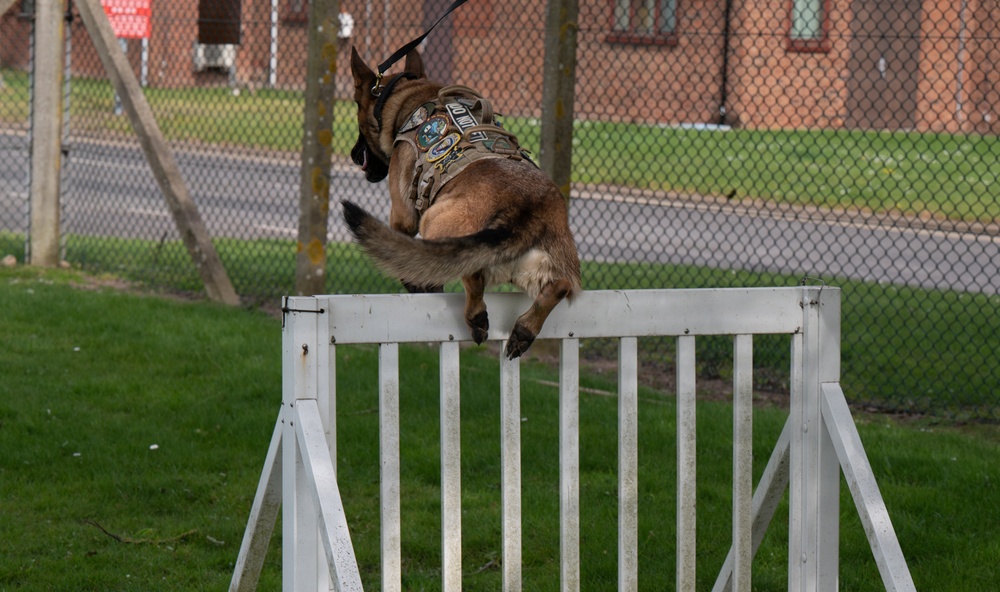 48 SFS military working dog routine training