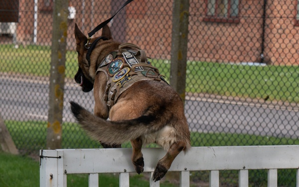 48 SFS military working dog routine training