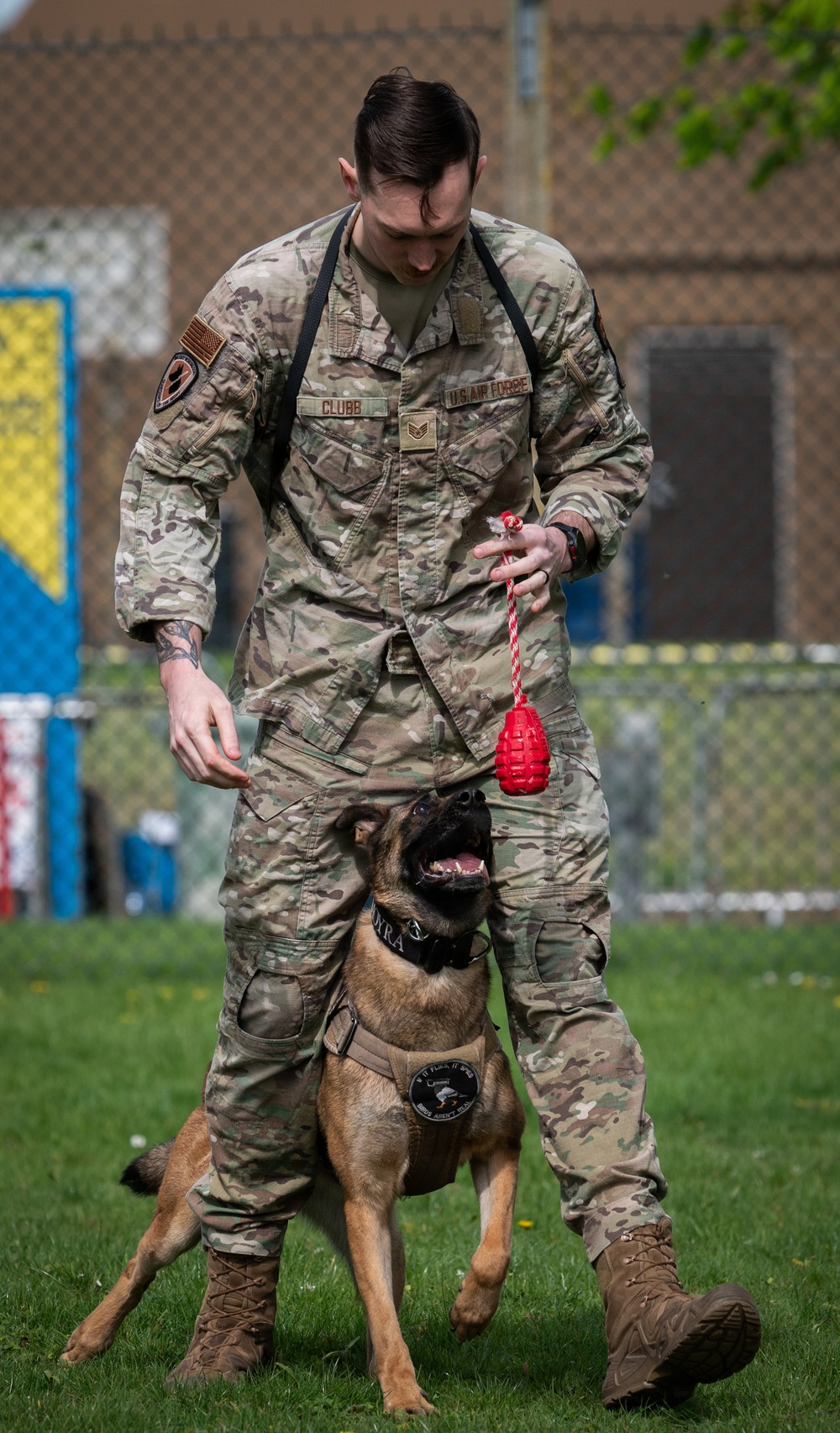 48 SFS military working dog routine training