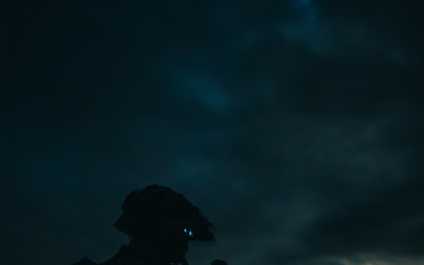 1st Special Forces Group (Airborne) conducts Maneuver Live Fire Exercise