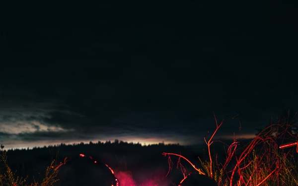 1st Special Forces Group (Airborne) conducts Maneuver Live Fire Exercise