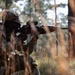 HHC, 525th EMIB conducts Bronze Hammer FTX