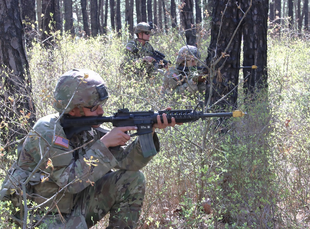 Woodland Tactics: Gaining Fire Superiority