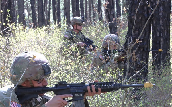 Woodland Tactics: Gaining Fire Superiority