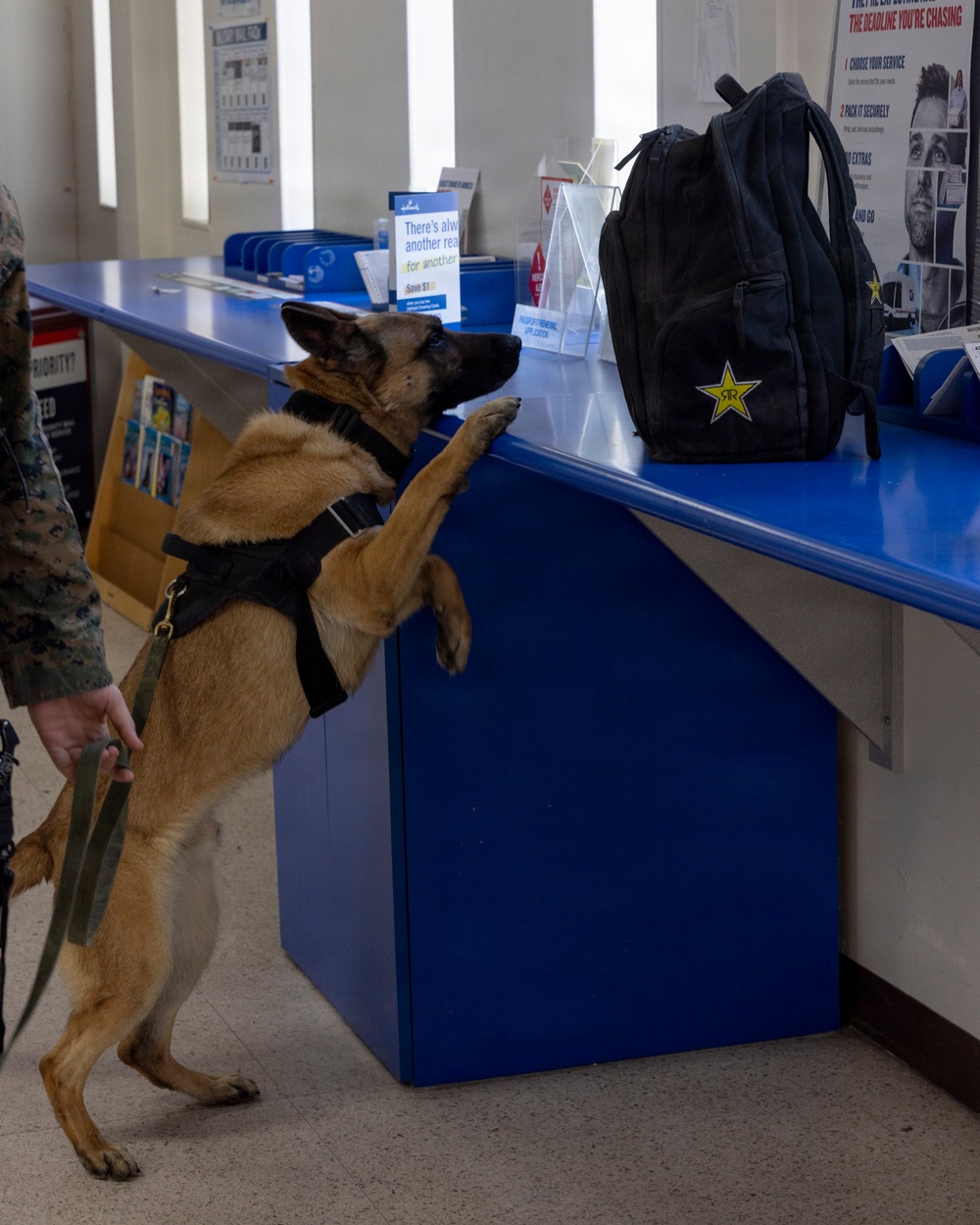 MCAS Miramar conducts a training exercise during Semper Durus 2026