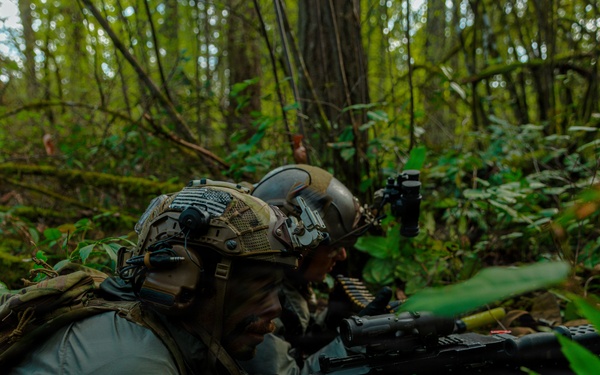 1st Special Forces Group (Airborne) conducts Maneuver Live Fire Exercise