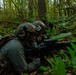 1st Special Forces Group (Airborne) conducts Maneuver Live Fire Exercise