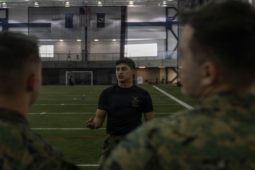 U.S. Marines participate in a Marine Corps Martial Arts Program course during exercise Red Flag
