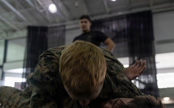 U.S. Marines participate in a Marine Corps Martial Arts Program course during exercise Red Flag