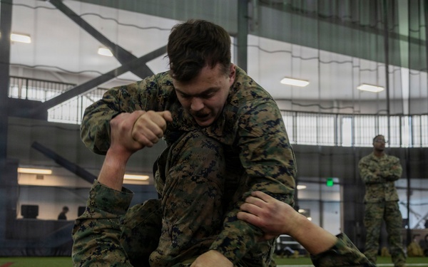 U.S. Marines participate in a Marine Corps Martial Arts Program course during exercise Red Flag
