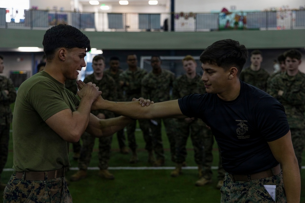 U.S. Marines participate in a Marine Corps Martial Arts Program course during exercise Red Flag