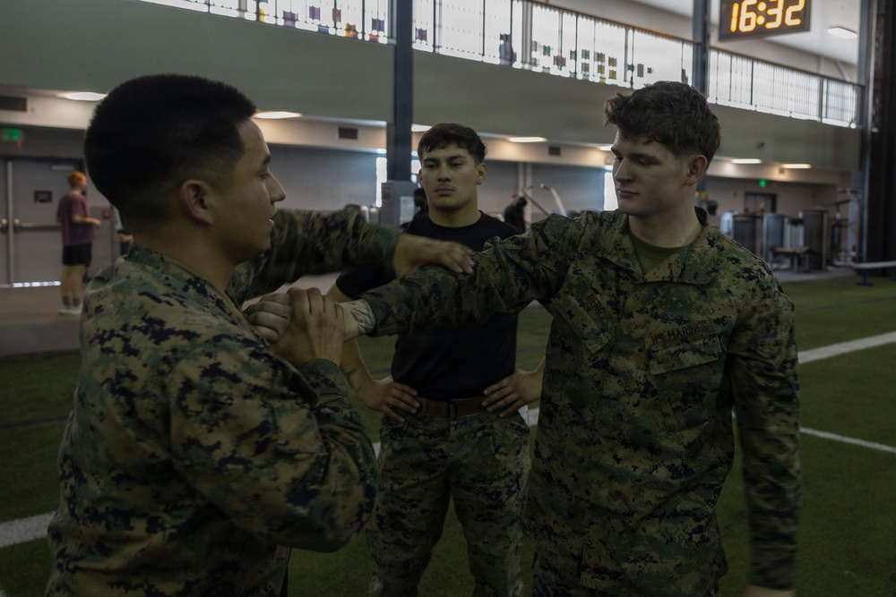 U.S. Marines participate in a Marine Corps Martial Arts Program course during exercise Red Flag