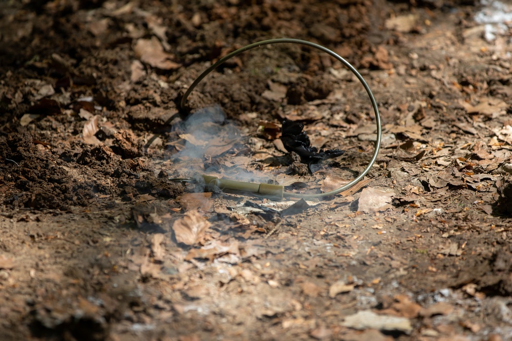 Engineers Blast Away at Combined Resolve