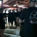 U.S. Marines participate in special operations forces screener with Salvadoran marines during CENTAM Guardian 2026