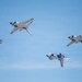 Thunderbirds 1-7 arrive ahead of Wings Over Solano air show