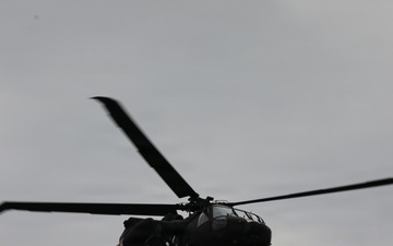 41st Field Artillery Brigade MEDEVAC Training with 12th Combat Aviation Brigade