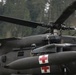 41st Field Artillery Brigade MEDEVAC Training with 12th Combat Aviation Brigade