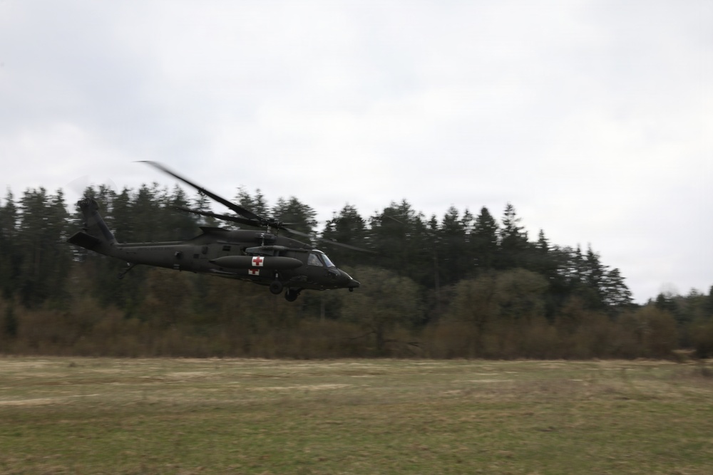 41st Field Artillery Brigade MEDEVAC Training with 12th Combat Aviation Brigade