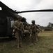 41st Field Artillery Brigade MEDEVAC Training with 12th Combat Aviation Brigade