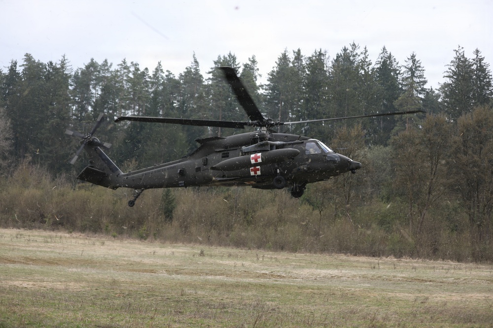 41st Field Artillery Brigade MEDEVAC Training with 12th Combat Aviation Brigade