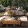 Combined Resolve 26-07