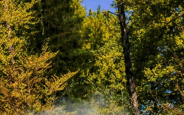 Photos from "the box": exercise Combined Resolve 26-07