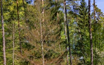 Photos from "the box": exercise Combined Resolve 26-07