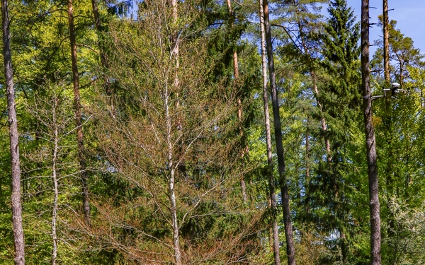 Photos from "the box": exercise Combined Resolve 26-07