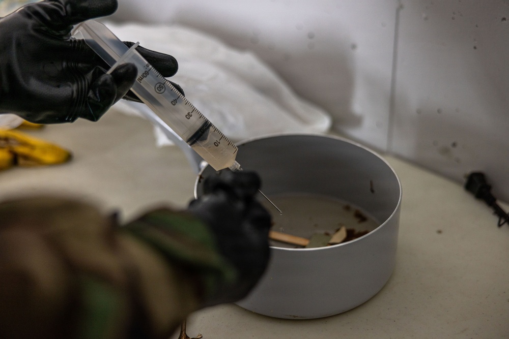 CBRN Marines Conduct Baseline Skills Evaluation 26.2