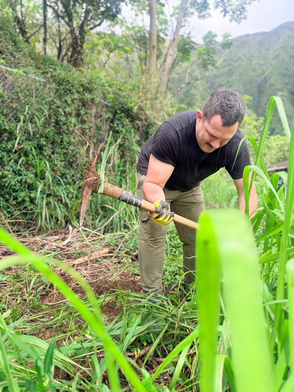 Laulima Navy Volunteers Restore Haiku Valley Through Community Service
