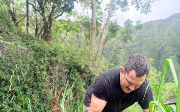 Laulima Navy Volunteers Restore Haiku Valley Through Community Service